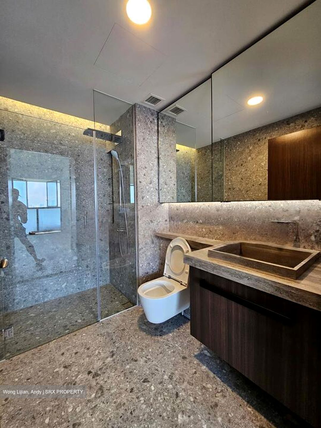 One Pearl Bank (D3), Apartment #442711581